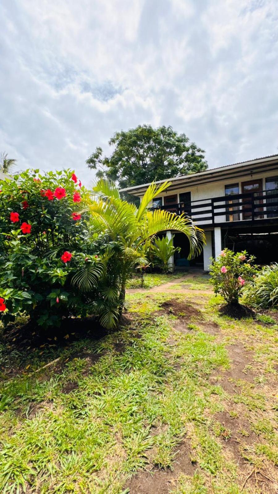 Mata Nui Eco Hostel Hanga Roa Bagian luar foto